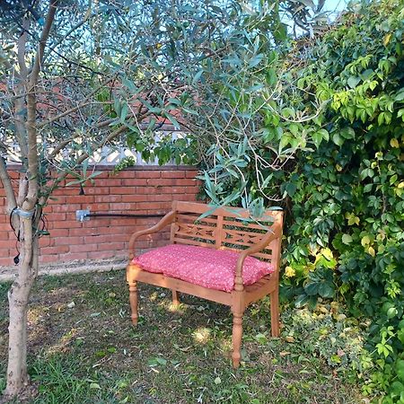 Piscina De Sal Barbacoa Wifi, Parking Gratis, 3 Min Pga Casa El Roble Villa Херона Екстериор снимка