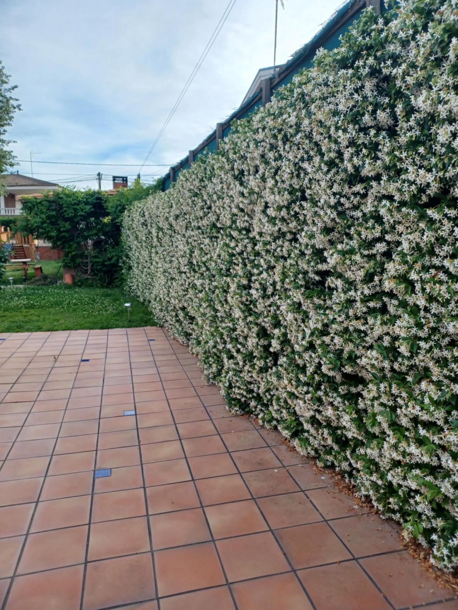 Piscina De Sal Barbacoa Wifi, Parking Gratis, 3 Min Pga Casa El Roble Villa Херона Екстериор снимка